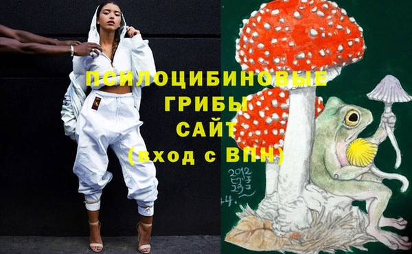 mix Надым