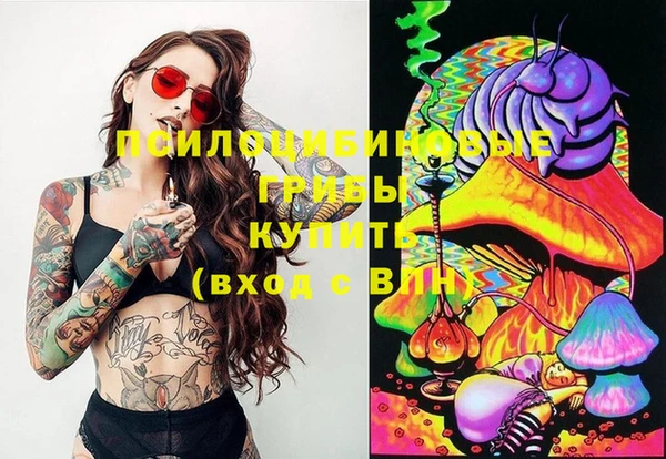 mix Надым