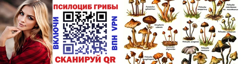 Псилоцибиновые грибы мицелий  Иннополис 