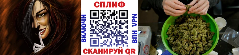 Шишки марихуана OG Kush Иннополис